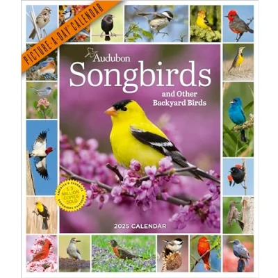 Bild av Audubon Songbirds and Other Backyard Birds Picture A Day® Wall Calendar 2025