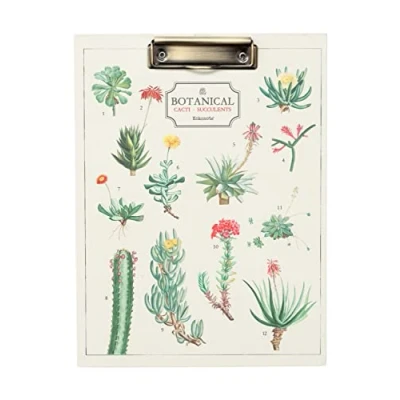 Bild av Grupo Erik Botanical Cacti Folder With Clip A4 File Includes Notepad And Pocket 9.1 x 11.8 inches / 23 30.6 cm board Cute Stationery