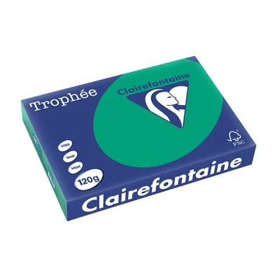 Bild av Färgpapper trophée, a4, 120g, skogsgrönt 1224, 250 ark
