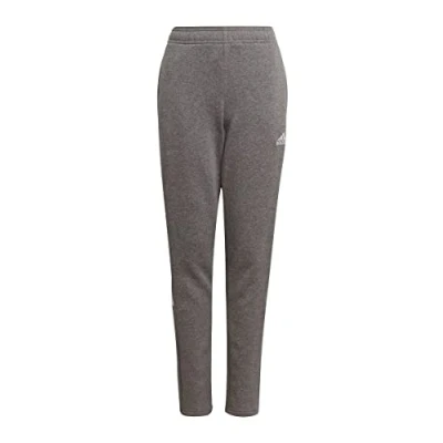 Bild av adidas Blandade barn Tiro 21 Sweat Tracksuit Bottoms Pants 1, Grfome, 164 EU