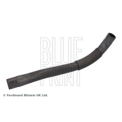 Bild av BLUE PRINT ADBP930015 Durite De Refroidissement supérieur EPDM (éthylène propylène diène caoutchouc) TOYOTA: Corolla IX 3/5 portes