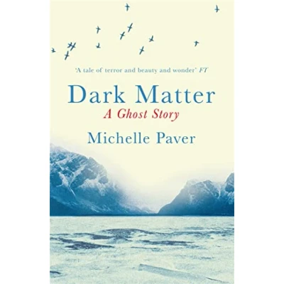 Bild av Dark Matter: the gripping ghost story from author of WAKENHYRST