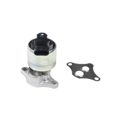 Bild av DELPHI EG10015 12B1 Vanne EGR avec joints OPEL: Vectra B Berline, Break, Omega Caravan