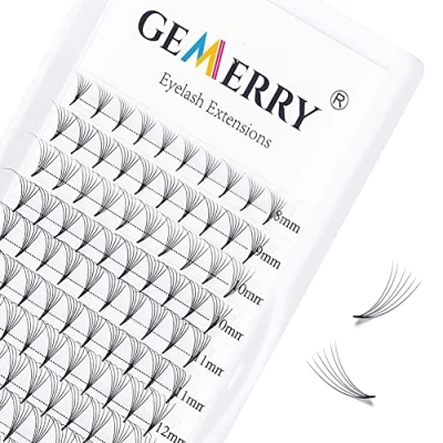 Bild av Pre Made Fan Eyelash Extensions 6D Fans 0.07mm D curl 8 14mm Mix Cluster Extension Premade Volym Russian Individual Lashes Gemerry Lash Extensions(0.07 Mix)