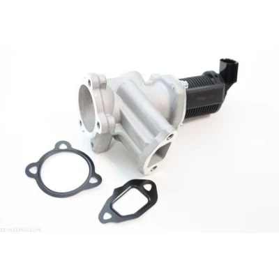 Bild av Egr Ventil Automega 140024510