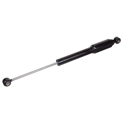 Bild av Styrdämpare FEBI BILSTEIN 100867
