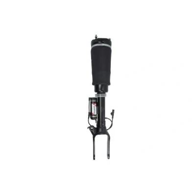 Bild av Luftfjäderben MAGNUM TECHNOLOGY APM008MT
