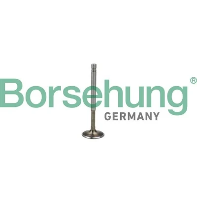 Bild av Borsehung B19009 Soupape d&#039;Échappement AUDI: A3 3/5 portes, A4 B6/B7 Cabriolet, B7 Berline, VOLKSWAGEN: Golf 4, Polo IV portes
