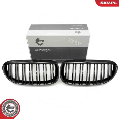 Bild av ESEN SKV 66SKV205 Calandre noir, brillant BMW: 6 Coupe
