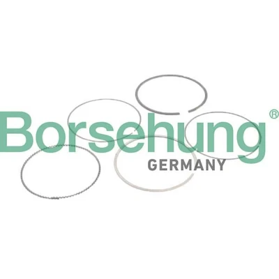 Bild av Kolvringsats Borsehung B10373