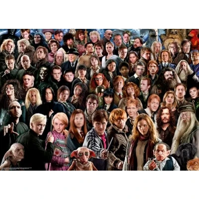 Bild av Ravensburger 12000457 Harry Potter Challenge pussel 1000 bitar för vuxna och barn från 14 år uppåt, pussel, presenter