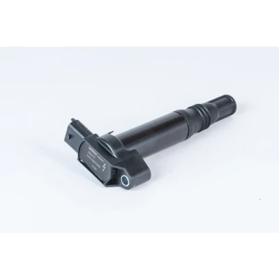 Bild av Tändspole Beru ZS574