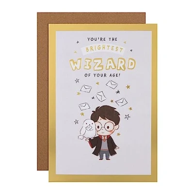 Bild av Hallmark födelsedagskort Harry Potter &amp; Hedwig uggla design med labyrint aktivitet