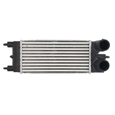 Bild av Laddluftkylare Thermotec DAC020TT