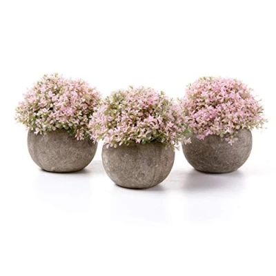 Bild av T4U Konstgjorda växter i plast baby tårar falsk blomma kruka dekoration för hem kontor trädgård grönt rum, gåva till vänner familjer (rosa)