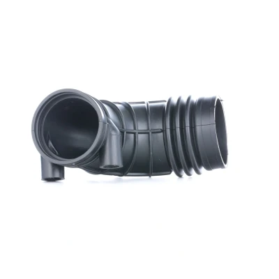 Bild av Insug, luftfilter FEBI BILSTEIN 30622