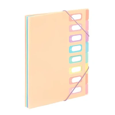 Bild av Viquel A4 dokumentsorterare med 8 fack regnbåge pastell beige