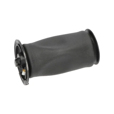 Bild av Luftfjäder, hjulupphängning Kavo parts SAS 10005