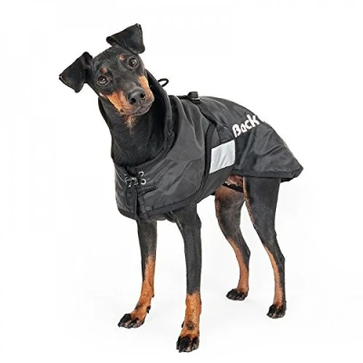 Bild av Back on track Winter coat 37 cm (734004110622)
