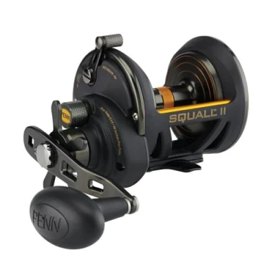 Bild av Penn Squall II Star Drag multirulle 30