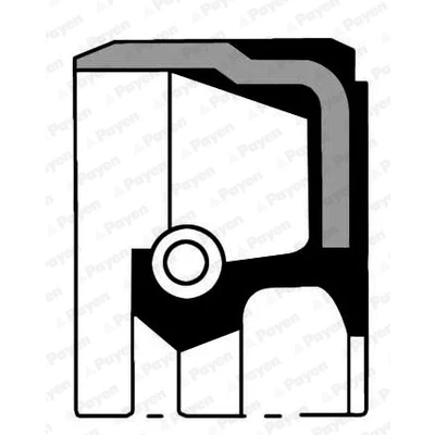 Bild av PAYEN NA5104 Joint Spi De Vilebrequin PTFE (polytétrafluoroéthylène) BMW: 3 Touring, Berline, 5 LAND ROVER: Freelander I SUV, Range Rover