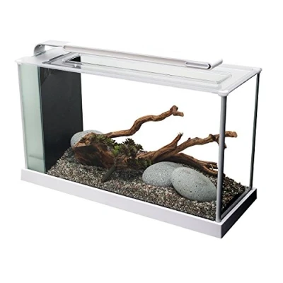 Bild av Fluval SPEC 5 Nanoakvarium, 21 L, Vit