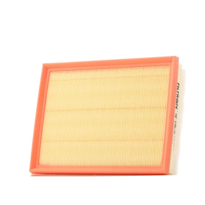 Bild av Luftfilter FILTRON AP 196/9