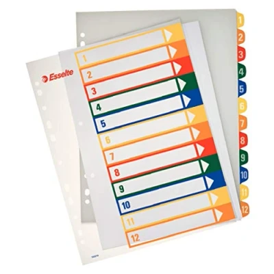 Bild av Esselte Projektregister PP 1 12 A4+ Easyprint