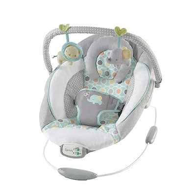 Bild av Ingenuity Soothing Bouncer™ Morrison