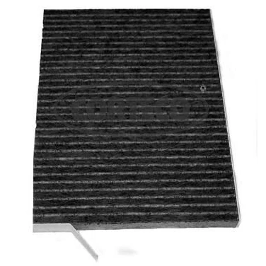 Bild av CORTECO 80001188 Filtre d&#039;habitacle à charbon actif 248 181 20 RENAULT: Koleos I