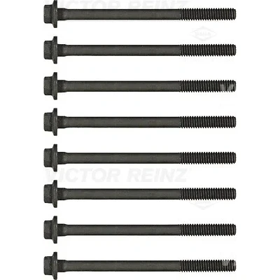 Bild av REINZ 14 32293 01 Jeu De Vis Culasse Héxagonal extérieur ALFA ROMEO: 147, 159 Sportwagon, Berline, OPEL: Vectra C CC, Insignia A 3/5 portes