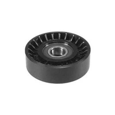 Bild av MAGNETI MARELLI 331316170012 Poulie, courroie de distribution
