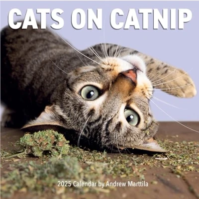 Bild av Cats on Catnip Wall Calendar 2025