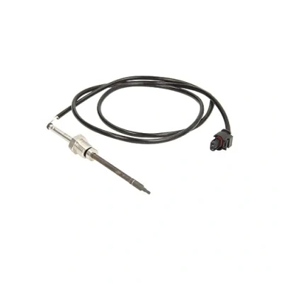 Bild av Sensor, avgastemperatur DELPHI TS30055