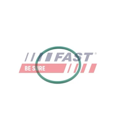 Bild av FAST FT49921 Bague d&#039;étanchéité, gaine de suralimentation PEUGEOT: 307 SW, 3008 I, 207 CITROËN: C4 Picasso 1, C5 II 5 portes, I 3/5 portes