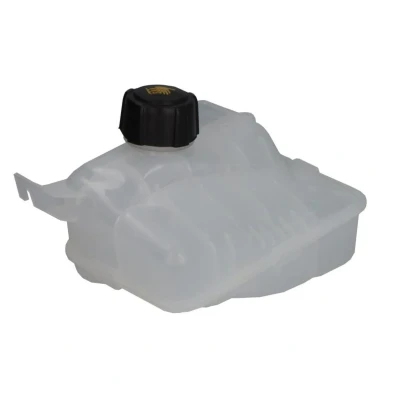 Bild av THERMOTEC DBR017TT Vase d&#039;Expansion avec bouchon de fermeture RENAULT: SCENIC 3, MEGANE 3 Coupe