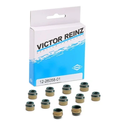 Bild av Packningssats, ventiler REINZ 12 26058 01