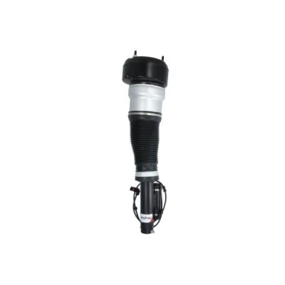 Bild av Luftfjäderben Magnum technology APM013MT