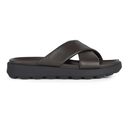 Bild av Geox Män U SPHERICA EC6 B Slide Sandal, Mörkbrun, 39 EU, EU