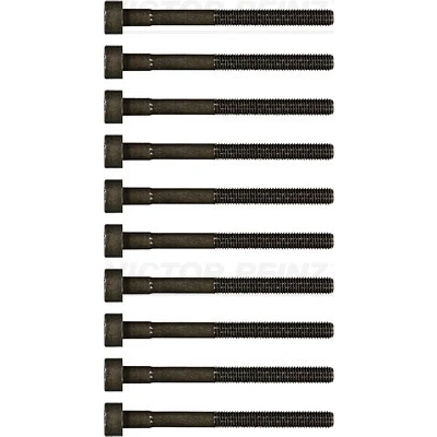 Bild av REINZ 14 32017 01 Jeu De Vis Culasse Torx intérieur FORD: FIESTA 4, 3, Escort 5