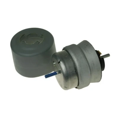Bild av AUTOMEGA 130058410 Support moteur AUDI: A4 B7 Avant, B6 Berline