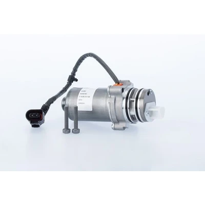 Bild av BorgWarner DS2010677 Pump, lamellkoppling allhjulsdrift