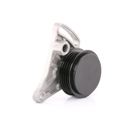 Bild av FEBI BILSTEIN 11341 Poulie Tendeur AUDI: A4 B6 Avant, B5 Berline, A6 C5 VOLKSWAGEN: Passat GP Break, Berline oscaro,