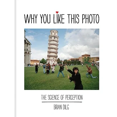 Bild av Why You Like This Photo: The science of perception