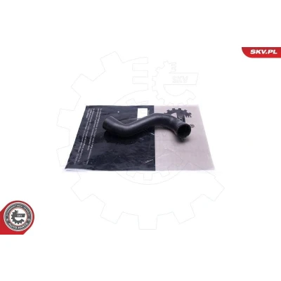 Bild av Laddluftslang, Höger, Passagerarsida, audi a4 b7, b7 avant, cabriolet, 8E0145944C