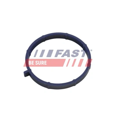 Bild av FAST FT49467 Joint Collecteur d&#039;Admission FORD: Transit Mk6 Van, Сamion à Plateau/Сhâssis, Minibus