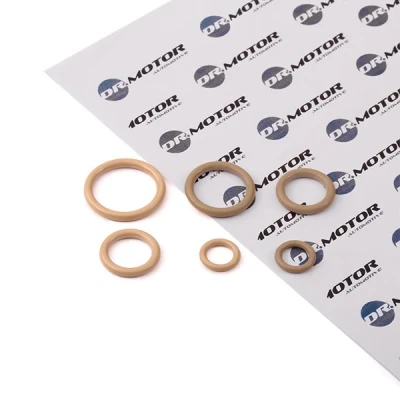 Bild av DR.MOTOR AUTOMOTIVE DRM01108 Kit de réparation, climatisation DACIA: Logan I Berline, SANDERO 2, Express, RENAULT: CLIO III Grandtour, 3