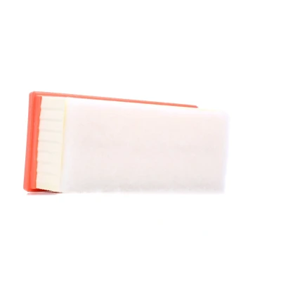 Bild av Luftfilter FILTRON AP 139/3