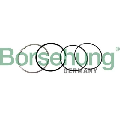 Bild av Kolvringsats Borsehung B10371