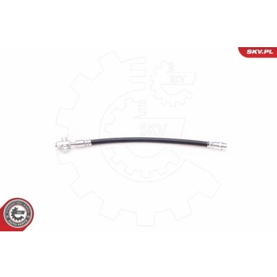 Bild av ESEN SKV 35SKV071 Flexible De Frein des deux côtés du pont arrière 325 M10x1 VOLKSWAGEN: Passat B5 GP Berline, Break, Berline